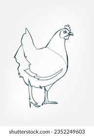 chicken vector line art animal wild life single one line hand drawn illustration isolated