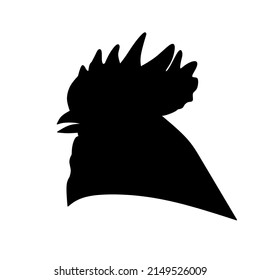 chicken vector on white background 