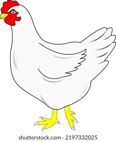 chicken vector for product label or other template