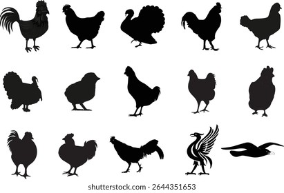 chicken vector set silhouette design