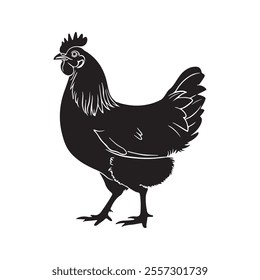Chicken vector and silhouette design. This is high resolution vector art And you can easly use this vector Or silhouette.