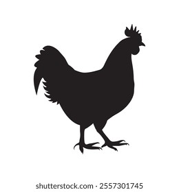 Chicken vector and silhouette design. This is high resolution vector art And you can easly use this vector Or silhouette.