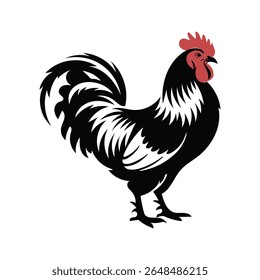 Chicken vector silhouette. Hen vector icon Art Illustration.
