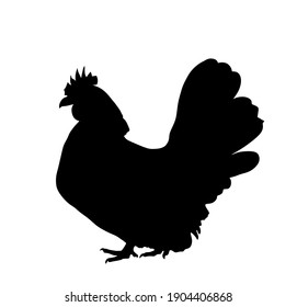 Chicken vector silhouette illustration isolated on white background. Hen symbol. Farm chantry.  Organic food symbol. Poultry female bird.