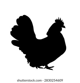 Chicken vector silhouette illustration isolated on white background. Hen symbol. Farm chantry.  Organic food symbol. Poultry female bird.