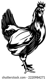 Hühnervektor, Silhouettenvektor, einzelne Illustration, abstraktes Muster auf weißem Hintergrund