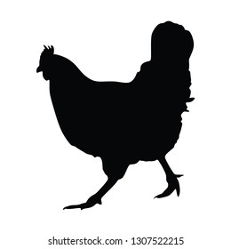 Chicken vector silhouette isolated on white background. - Vector