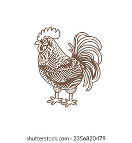 Chicken in vintage engraving hand drawn style illustration