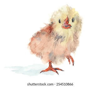 chicken watercolor