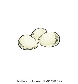 Chicken white eggs vector hand drawn illustration in sketch style isolated on white background. Organic low carb, high protein nutrition ingredient for ketogenic diet.