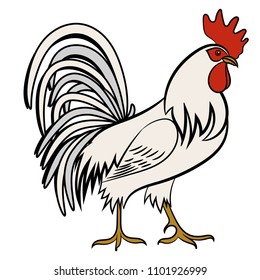 Chicken. White rooster. Vector illustration isolated on white.