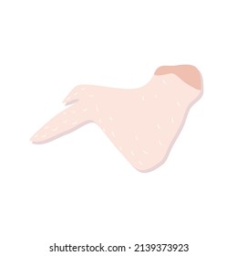 Chicken wing meat on white background, raw chicken wing meat vector, organic chicken meat, diet food meal vector, flat design of raw poultry meat isolated, chicken skin vector, uncooked meal vector.
