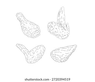 Chicken Wings Line Art Bundle. Hand Drawn Fried Chicken Illustration Set. Crispy Poultry Sketch Collection. Minimal Black and White Food Drawing
