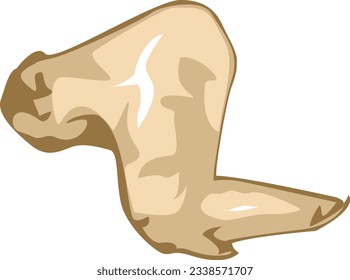 Chicken wings vector icon design white background - eps-10