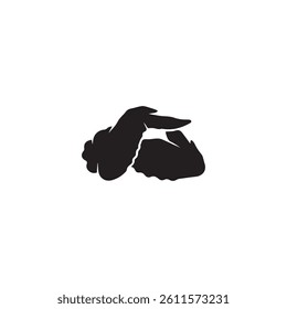 chicken wings vector illustration design