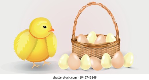 Chicken yellow. Basket with eggs. Easter. Minimalism. Style. Realistic. Concept for the day of Easter.