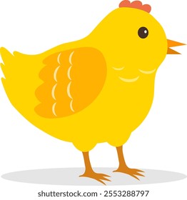 Pollo, pollito amarillo aislado en el fondo blanco. Vector, ilustración de diseñador. Vector.