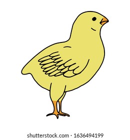 Chicken yellow hand drawn line drawing. Contour drawing.Scrawl.Drawing for the Easter holiday. Little chicken.Bird house.Vector illustration