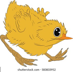 Chicken.Angry chicken - vector illustration.Angry cartoon chicken. Vector clip art illustration with simple gradients. All in a single layer.