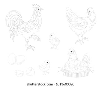 Chicken,rooster,chickens and eggs.Chicken farm set. Isolated black outline illustration.Vector EPS 10