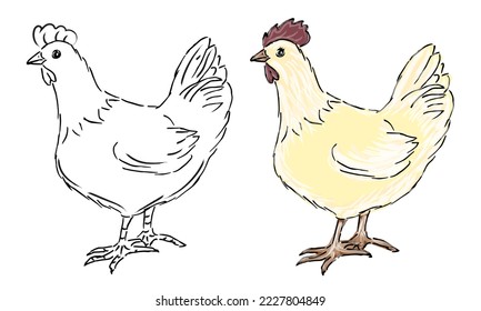 Chickens cartoon sketch silhouette. Vector illustration on white background. isolated object. farm bird