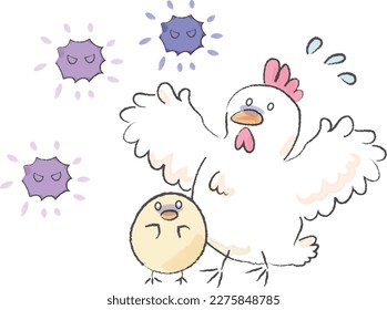 Chickens and chicks afraid of bird flu2