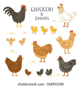 Chickens and chicks illustration set