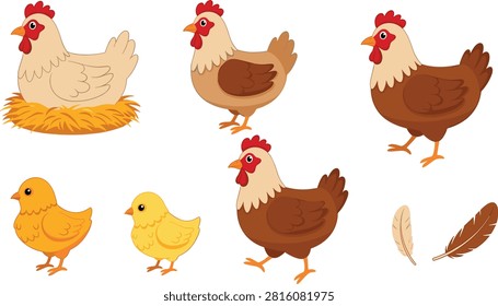 Chickens and Chicks Illustration Set with Brown Hens, Yellow Chicks, and Decorative Feathers in Isolated Vecto