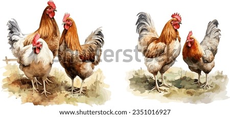 Chickens clipart, isolated vector illustration.