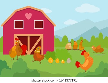 Chickens, cocks and little chicks vector illustration flat style. Funny cartoon birds walking, standing, sitting, hatched eggs and running on grass in yard near farm house coop.