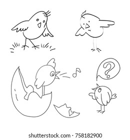 Chickens are drawn by lines