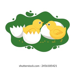 Chickens, eggs, eggshells. Farm, pets. Cute baby chickens. Vector illustration, background isolated.