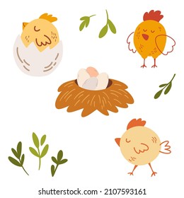 Chickens and eggs set. Chicken hatches from the egg. Nest and tray of chickens eggs. Hen farm. Animal character. Happy Easter. Cartoon vector illustration isolated. 