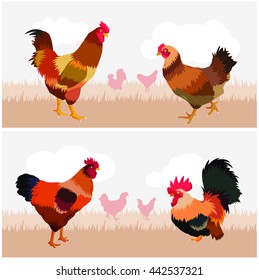 chickens at the farm, chicken vector