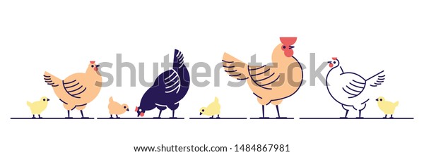 Chickens flat vector illustration. Multicolor\
chicks, hens and and rooster cartoon isolated design elements with\
outline. Chicken meat production, bird breeding. Poultry farm,\
animal husbandry