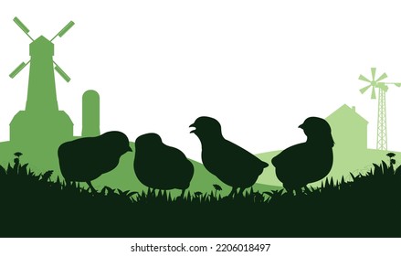 Chickens grazing. Farm building. Scenery silhouette. Agricultural farm bird. Object isolated on white background. Vector.