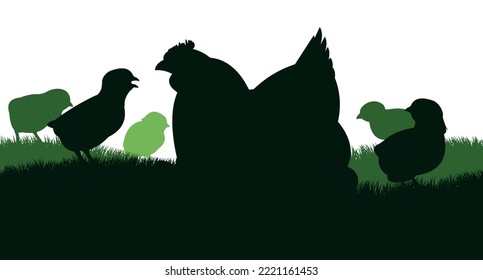 Chickens grazing. Mother hen incubates eggs. Scenery silhouette. Agricultural farm bird. Object isolated on white background. Vector.