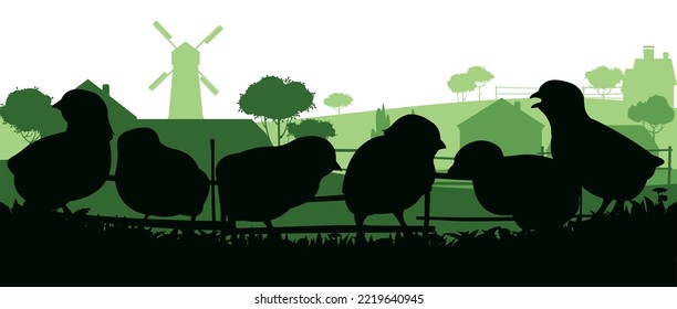 Chickens grazing. Scenery silhouette. Agricultural farm bird. Object isolated on white background. Farm building. Vector.