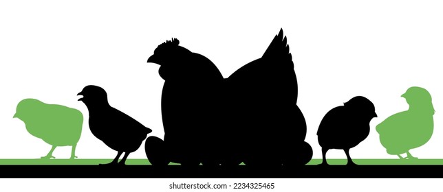 Chickens grazing. Scenery silhouette. Agricultural farm bird. Mother hen incubates eggs. Object isolated on white background. Vector.