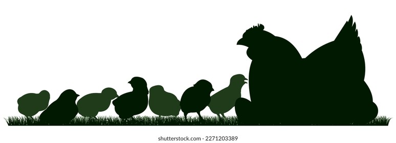 Chickens grazing. Scenery silhouette. Agricultural farm bird. Object isolated on white background. Mother hen incubates eggs. Vector