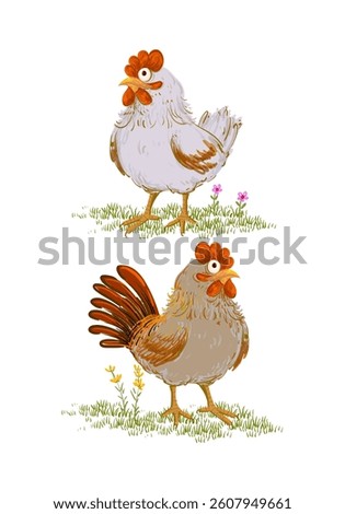 Chickens, hen, rooster sketch on vintage style isolated on background vector illustration.