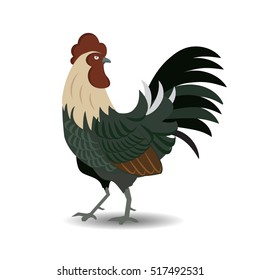 Chickens Hen and Rooster. vector illustration 