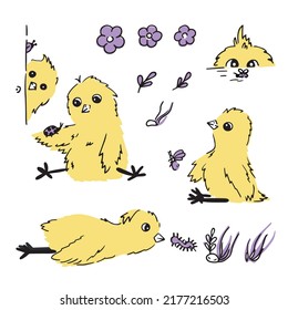 Chickens and insects are friends hand drawn set. Collection of vector illustrations for children's design elements.