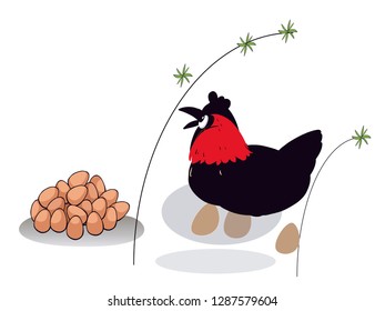 chickens lay eggs. illustration of chicken and shrimp