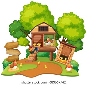 Chickens lives in chicken coops illustration