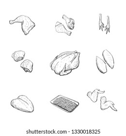 Chicken's meat. Set of vector sketches on white background