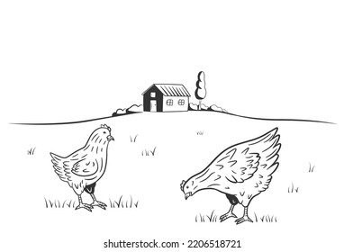 Pollos en la ilustración del vector de césped