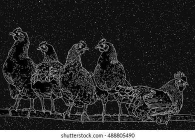 Chickens on perch. Flock of poultry under night starry sky. Each star is unique and painted by hand. Black and white graphic vector illustration