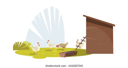 Chickens on poultry farm flat vector illustration. Traditional farming. Feeding chicks near hennery. Farmyard animals walking in open air. Organic eggs, poultry meat production business