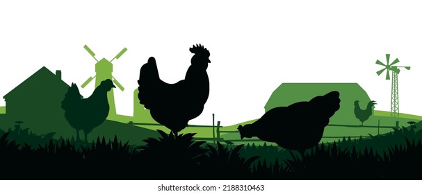 Chickens in pasture. Picture silhouette. Farm pets. Domestic poultry to get eggs. Rural landscape with farmer house. Isolated on white background. Vector.